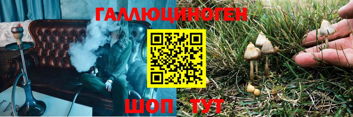 Галлюциногенные грибы прущие грибы Жигулёвск